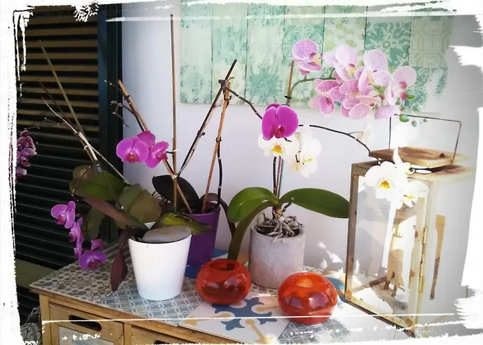 Bed and Breakfast La De Ker Briac Φουνκάλ