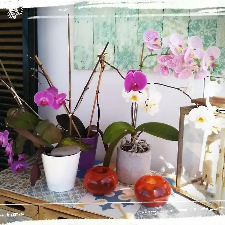 Bed & Breakfast La De Ker Briac Funchal (Madeira)