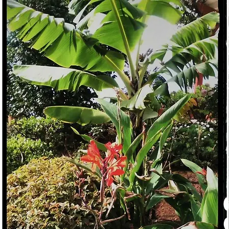 Bed & Breakfast La De Ker Briac Funchal (Madeira)