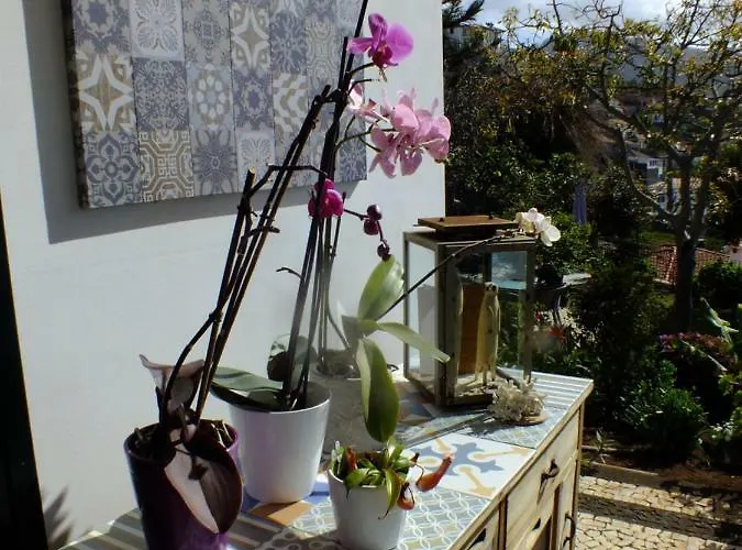 La De Ker Briac Bed & Breakfast Funchal (Madeira)