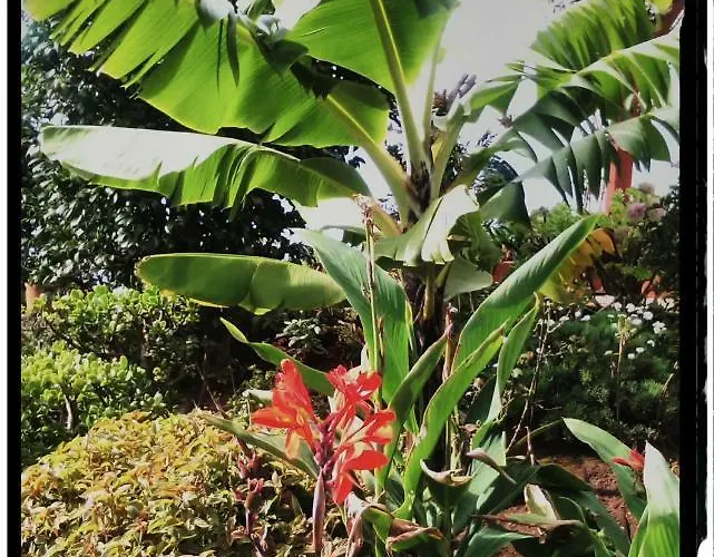 Bed & Breakfast La De Ker Briac Funchal (Madeira)