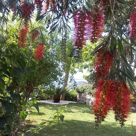 Frühstückspension La De Ker Briac Funchal (Madeira)